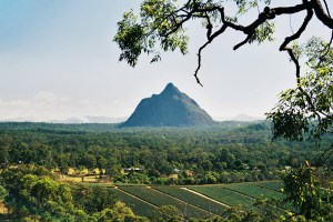 mount-beerwah-and-pineapples