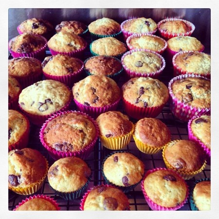 1474591_10151726823987245_219484813_n