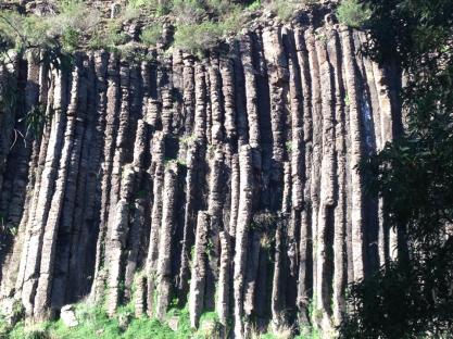 10363357_10152034428777245_4868015366302810128_n