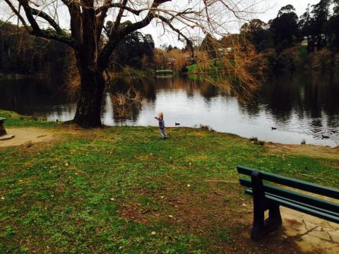 10460104_10152115070062245_8898591661413190834_n