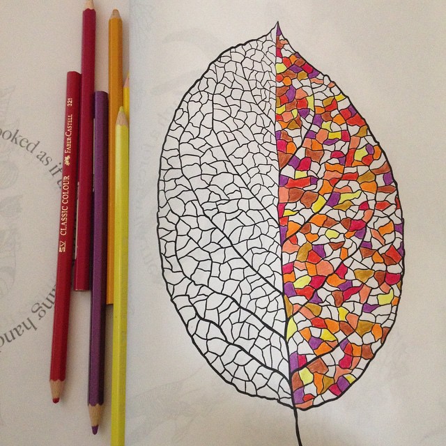 11898802_10152955232022245_7149345472078562627_n