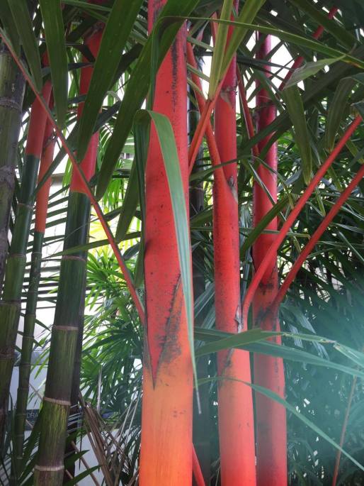 20622550_10154529826387245_1473966712_o