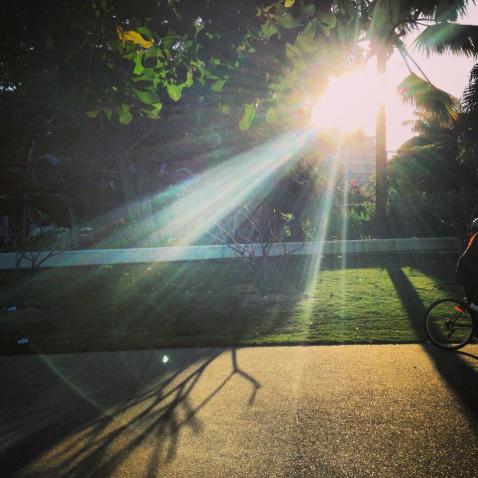 1239939_10151595867612245_1479234706_n