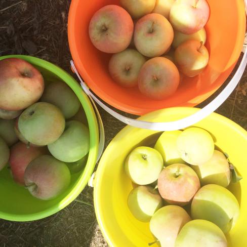 29681001_10155062850677245_768290391_o