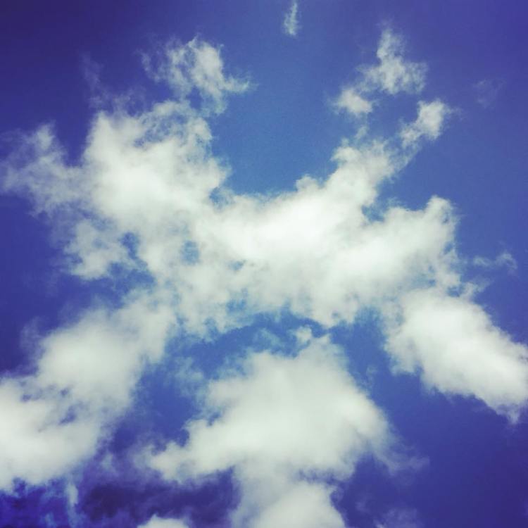 37392540_167719743980795_7410462510102347776_n